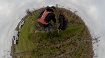 360